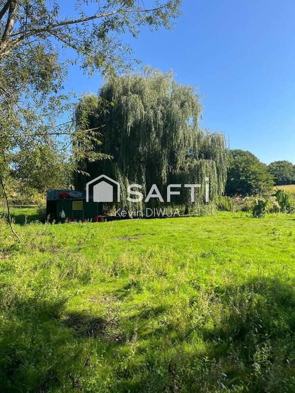 Photo 5 - Terrain à RICQUEBOURG