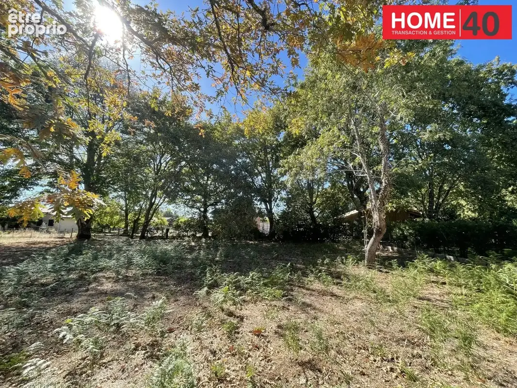 Terrain 900 m² à vendre à Sanguinet (40460) - photo 3