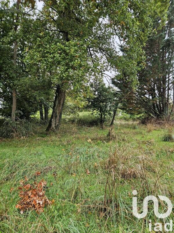 Photo 1 - Terrain à VILLENEUVE-SUR-YONNE