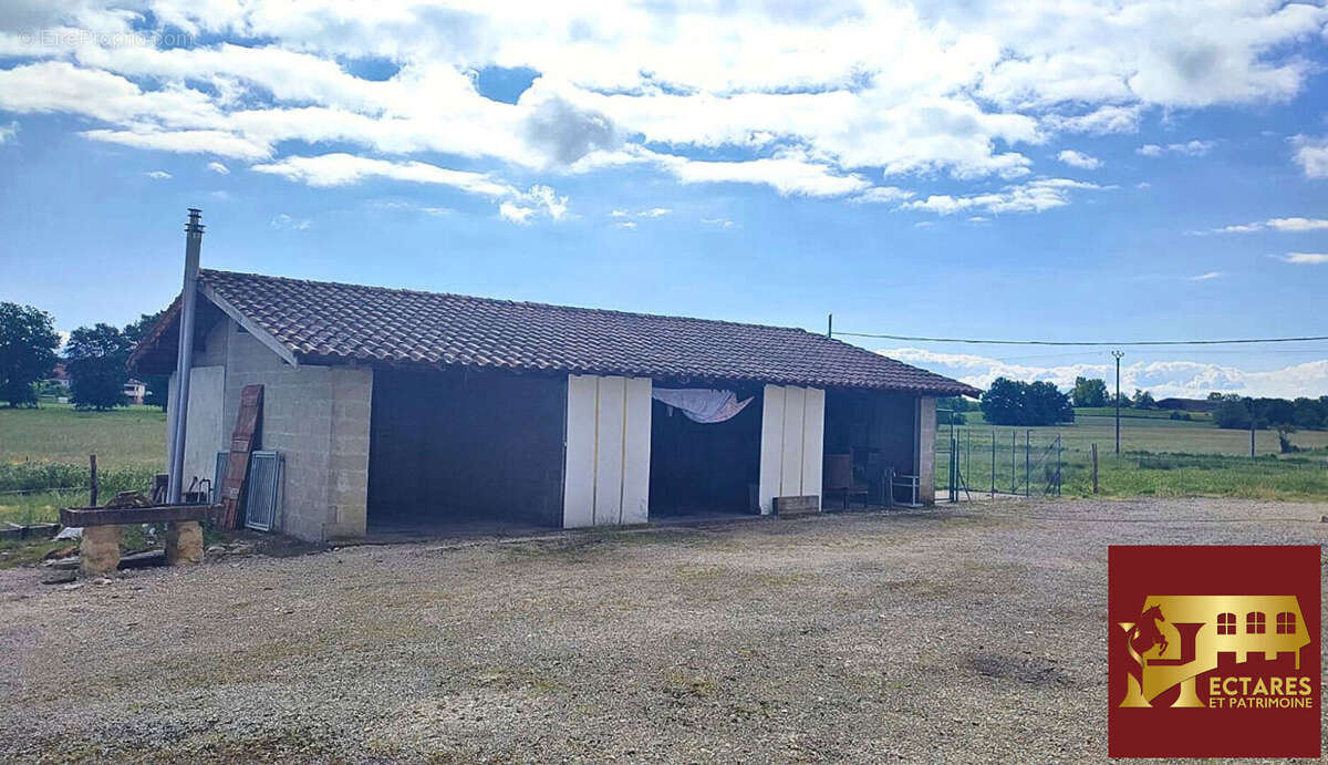 3 logements jusqu'à 16 hectares - photo 13