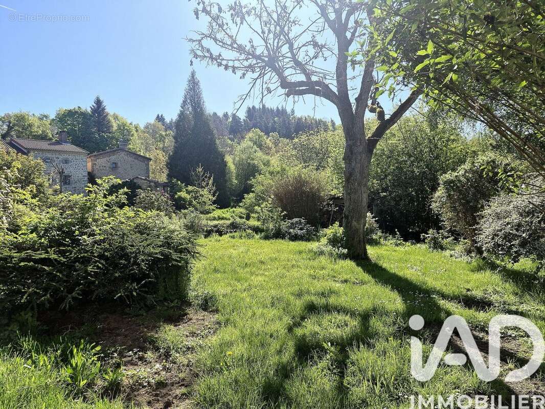 Maison 119 m² à Auzelles  - photo 5