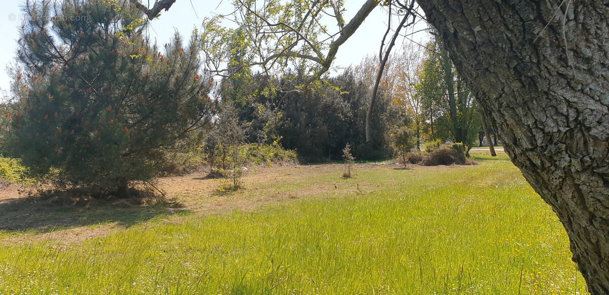 Terrain à LE GRAND-VILLAGE-PLAGE