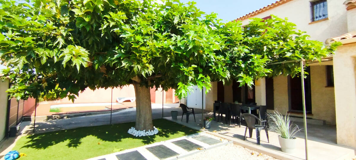 Maison indépendante avec piscine à 10 minutes de Béziers - photo 1