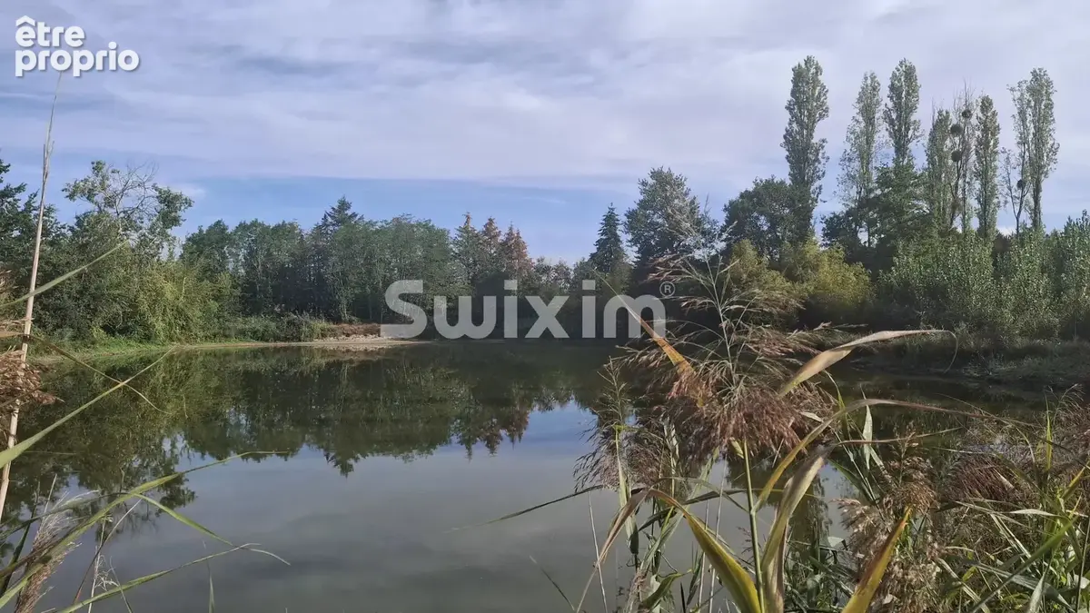 Terrain d'exception avec étang privé en Sologne - photo 3