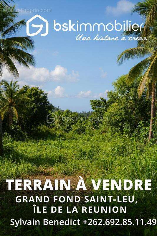 Terrain à SAINT-LEU