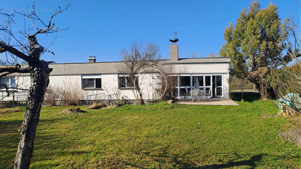 Maison à BUSCHWILLER