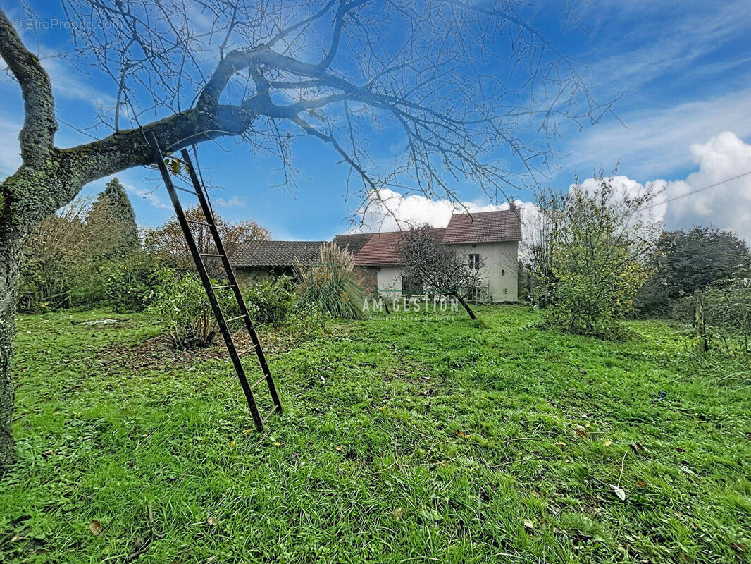Maison à SAINT-LAURENT-LES-EGLISES