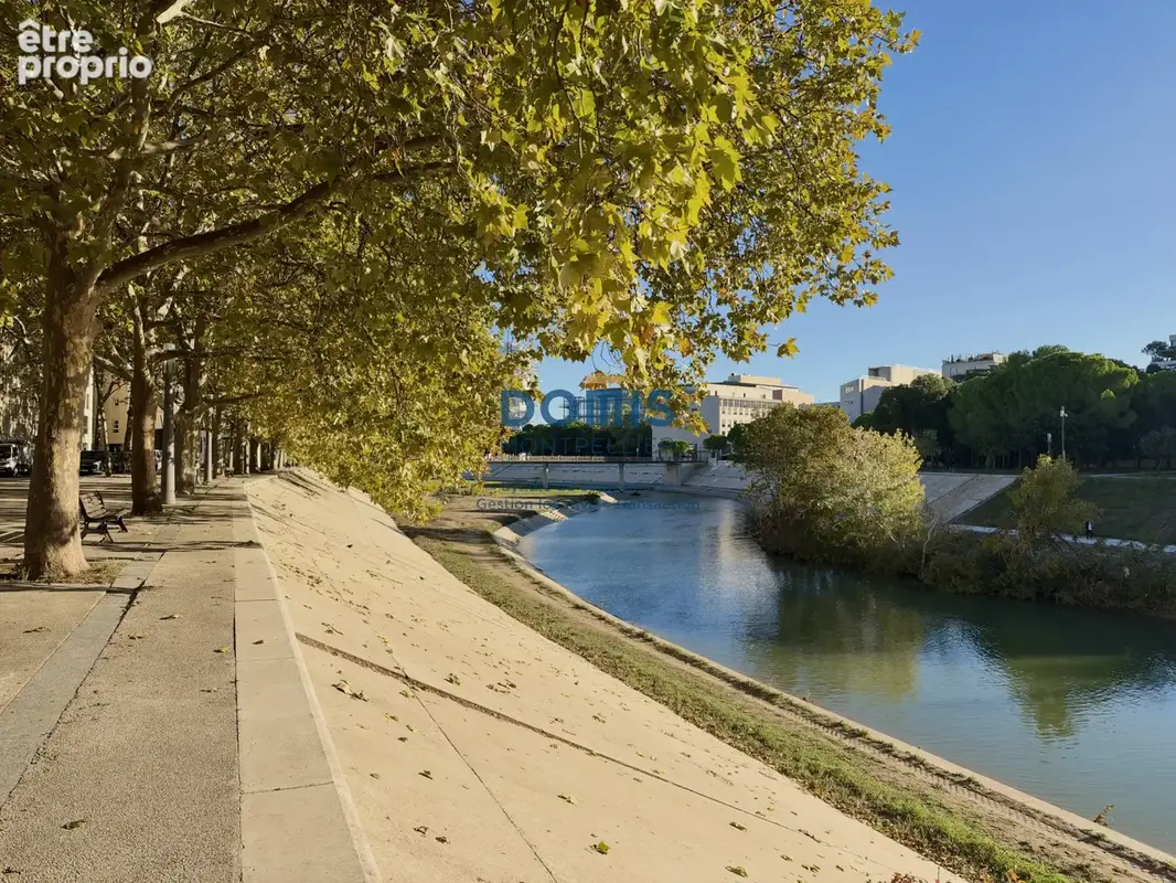 Photo Appartement à Montpellier au prix de 110 000€