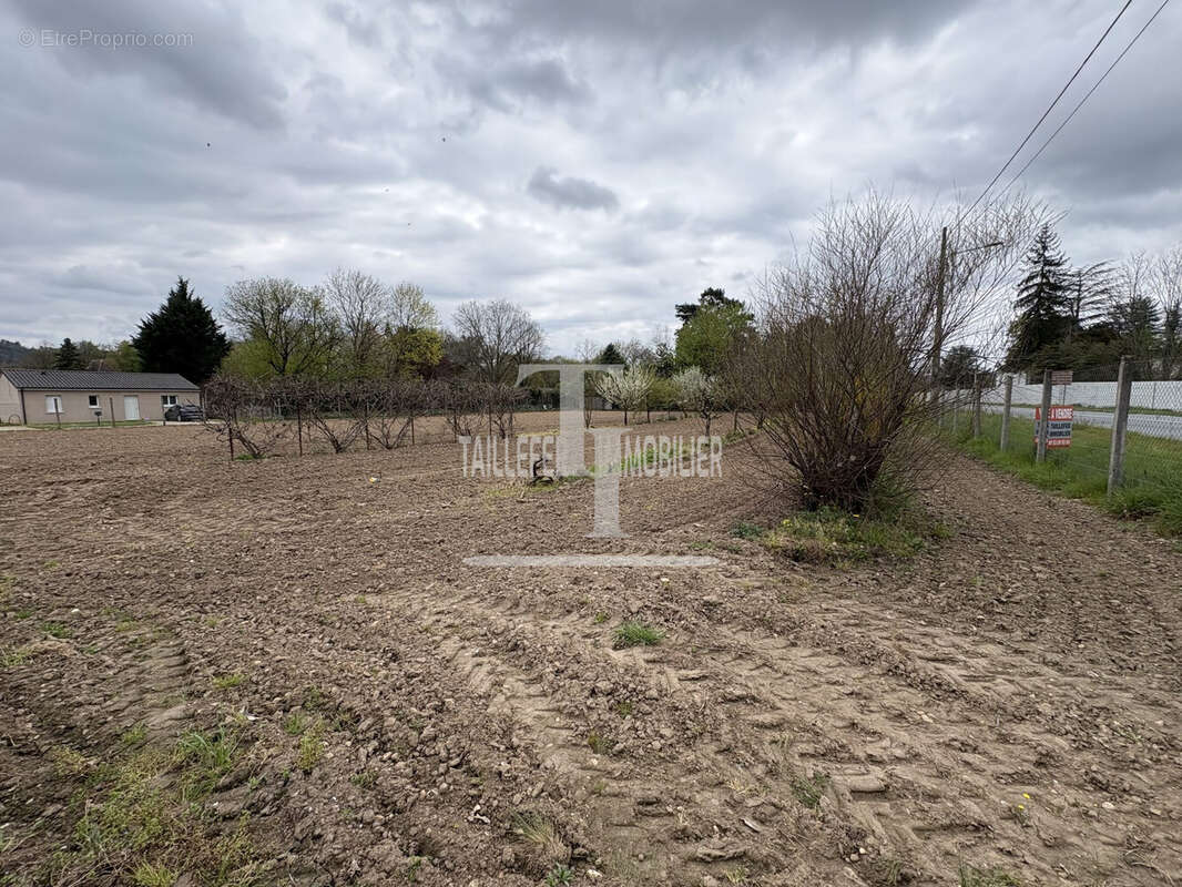 Terrain à ANTONNE-ET-TRIGONANT