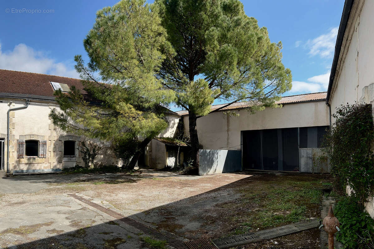Maison à SAINT-JEAN-D'ANGELY