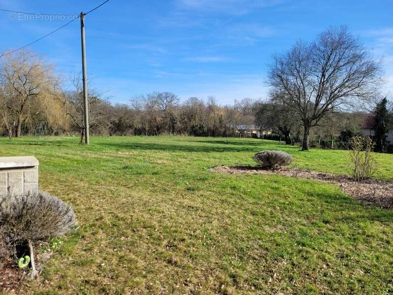 Dpt allier (03) foret de troncais - proche lurcy levis - maison 4 pieces - potager - arbres fruitiers - terrain 3871 m2 - photo 6