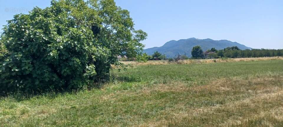 Terrain à SAINT-HILAIRE-DU-ROSIER