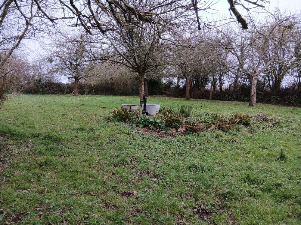 Maison à SAINT-SAUVEUR-LE-VICOMTE