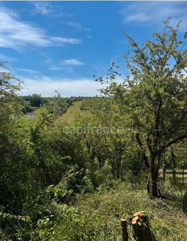 Terrain à vendre  VAUX (89) - photo 2