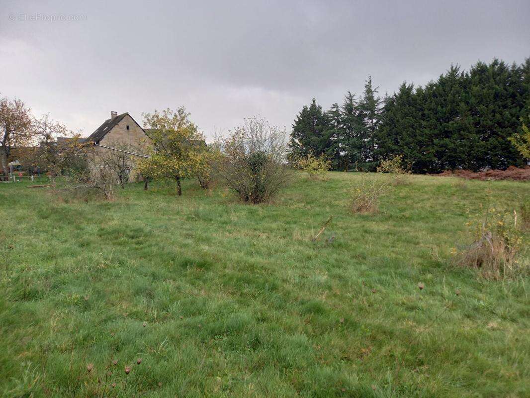 Terrain constructible Durtal centre 5 206 m2 - photo 3