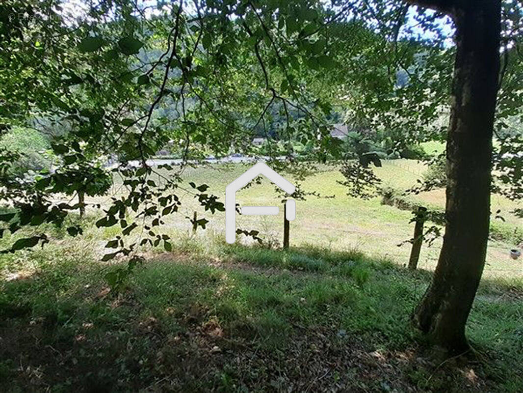 Terrain à MONCEAUX-SUR-DORDOGNE