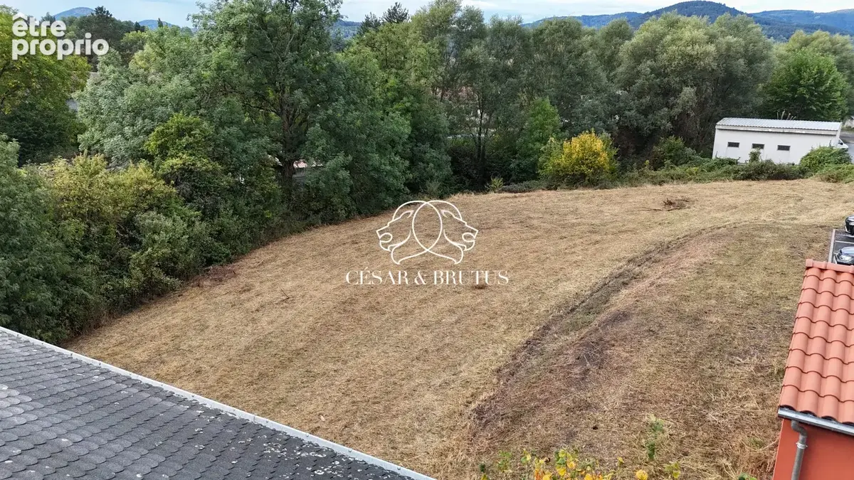 Terrain 1 958 m² à vendre à Rosieres (43800) - photo 9