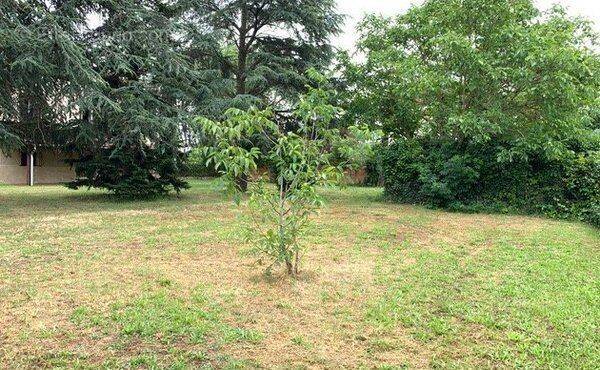 Terrain à VILLEMOISSON-SUR-ORGE