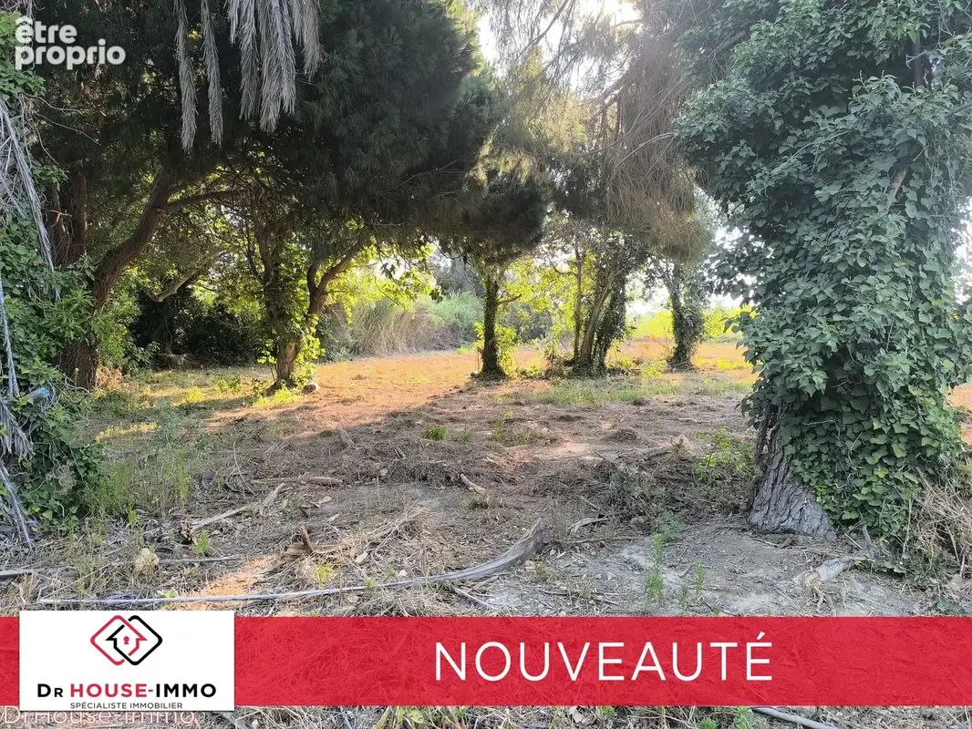 Terrain 5 661 m² à vendre à Bompas (66430) - photo 5