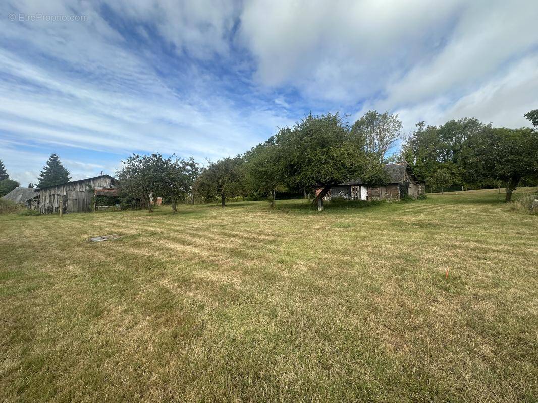 Terrain à SAINT-MARTIN-AUX-CHARTRAINS