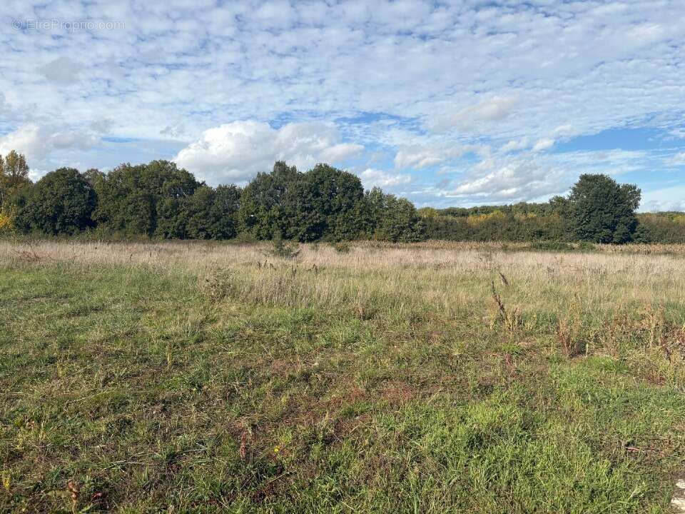 Terrain 570 m² à Bruguieres  - photo 2