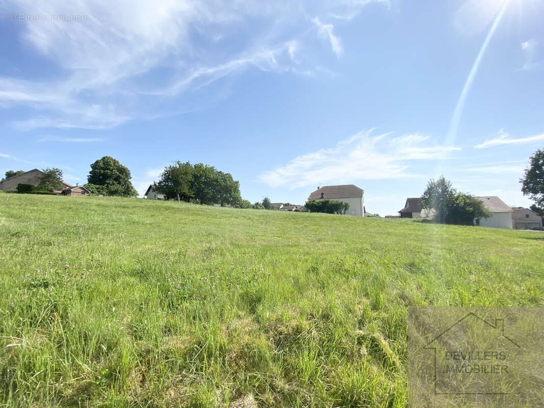 Terrain à FOUCHERANS