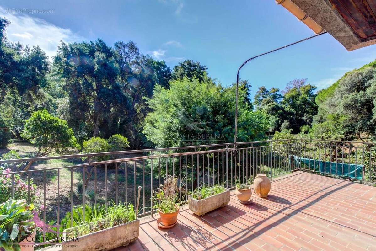 Maison en viager - bravone - photo 11