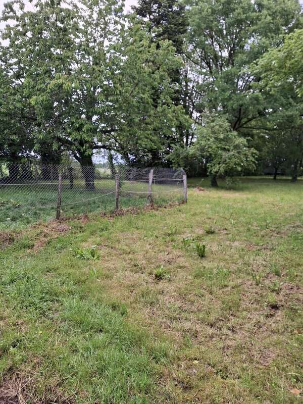À vendre longère terrain 1,8 ha St-Malo-en-Donziois - photo 30
