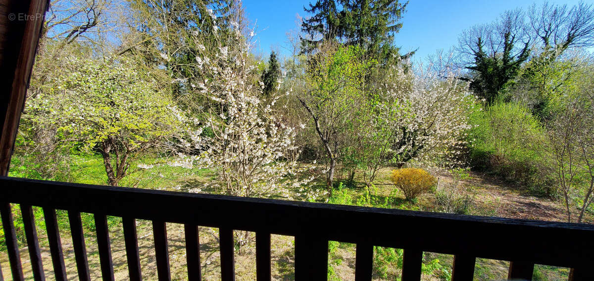 Maison à DROUPT-SAINTE-MARIE