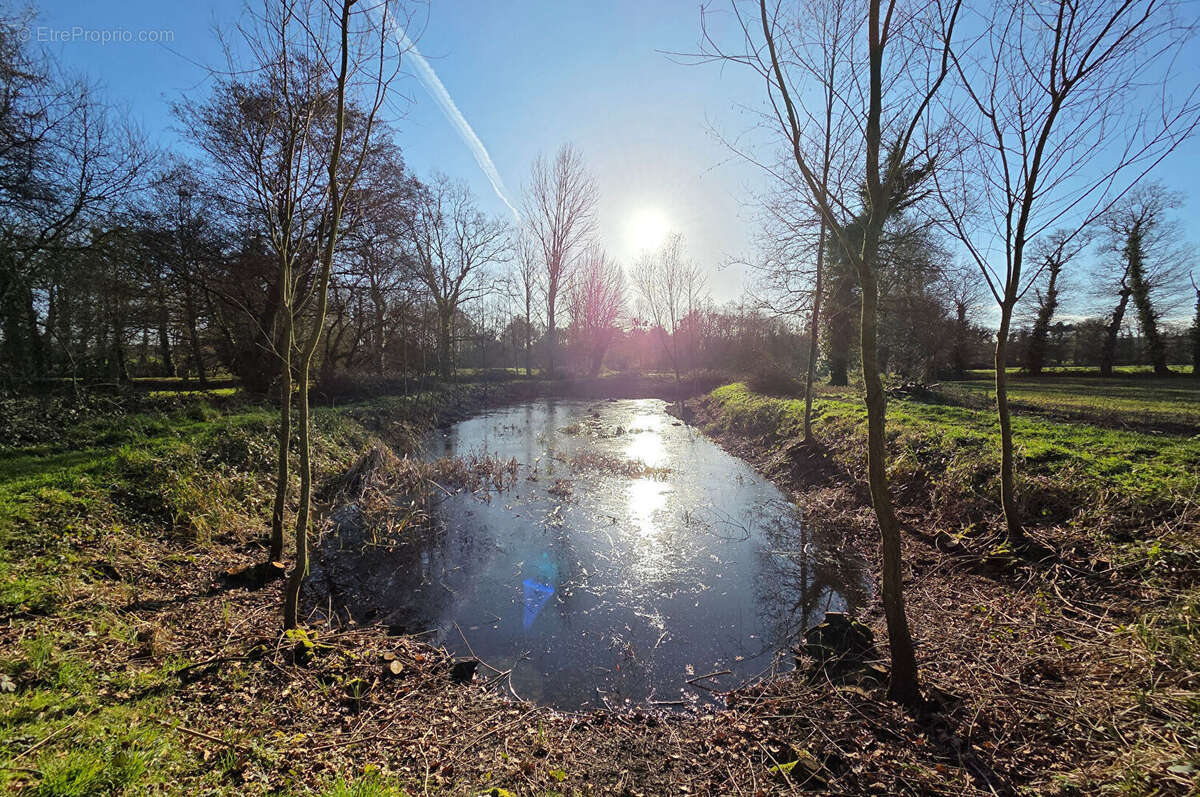 Terrain à SAINT-JUDOCE