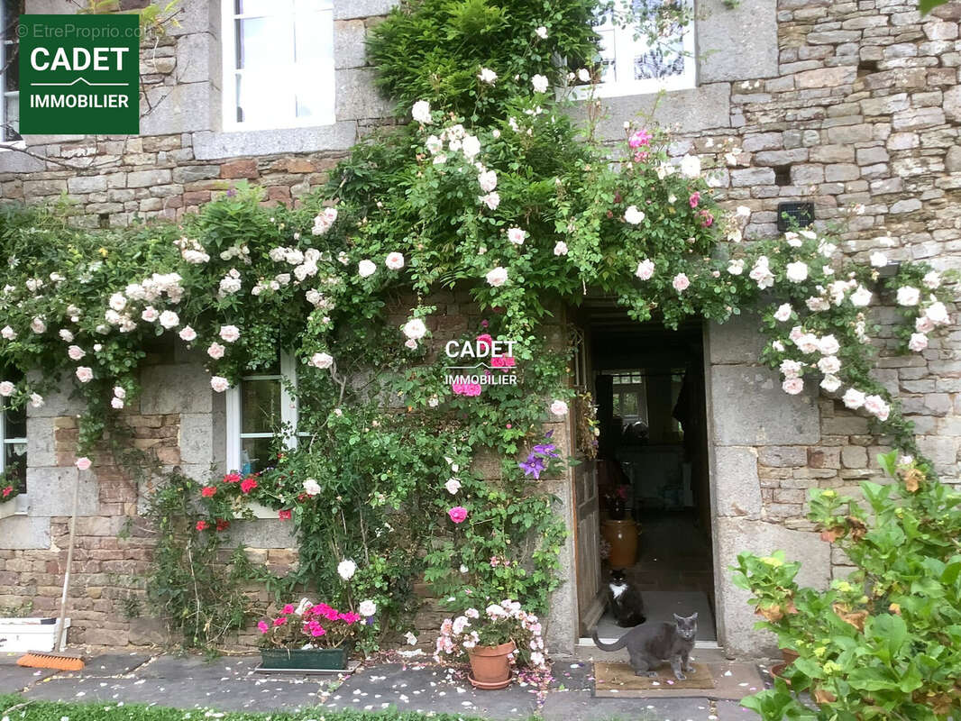 Maison à HOCQUIGNY