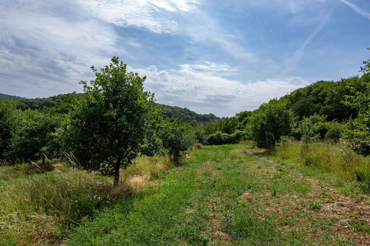Terrain à COMMERCY
