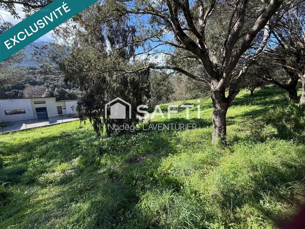 Photo 9 - Terrain à ALATA