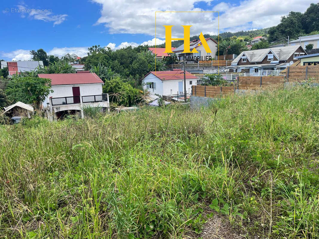 Terrain à SAINT-PAUL