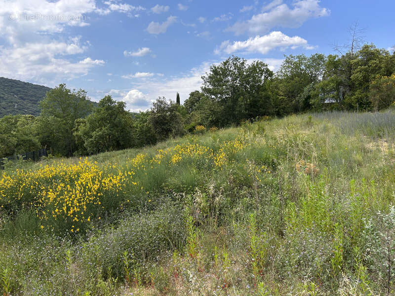 Terrain à SAINT-MARTIN-D&#039;ARDECHE