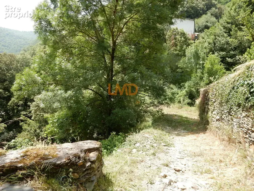 Maison en pierre - Vue panoramique - Terrain - photo 20