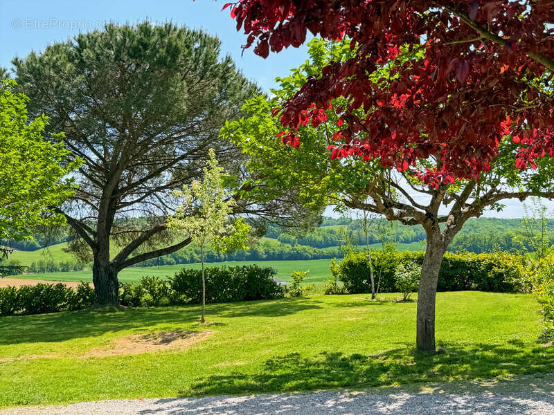 Maison à vendre 7 pièces LUPIAC (32) - 148 m2 - Terrain 4884 m2 - photo 22