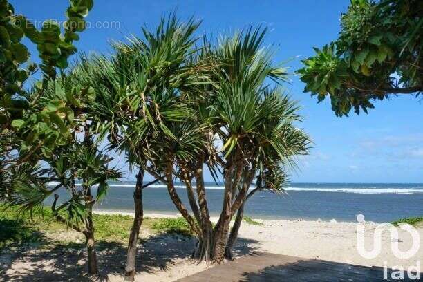 Photo 6 - Appartement à SAINT-PIERRE