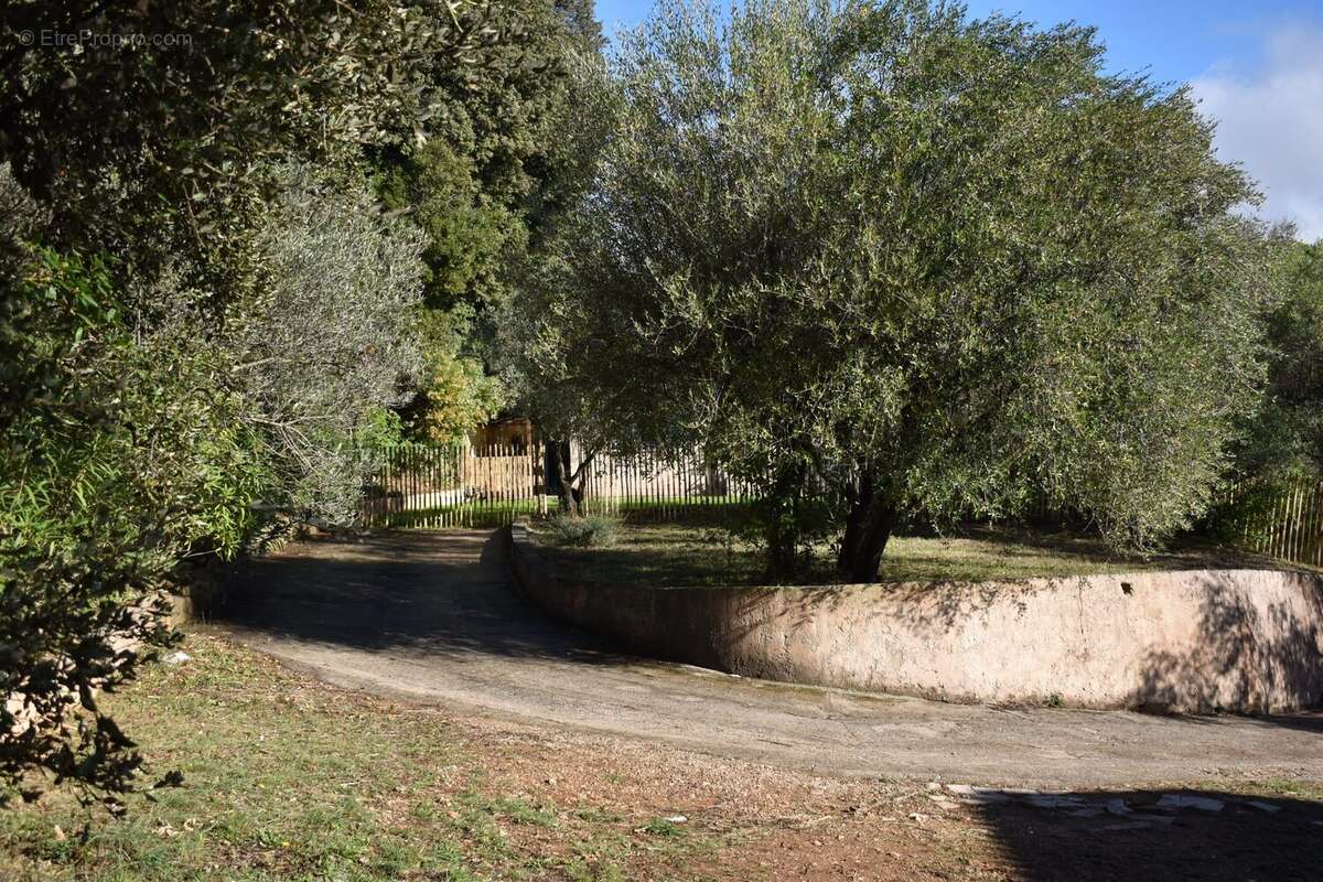 Terrain à PIGNANS