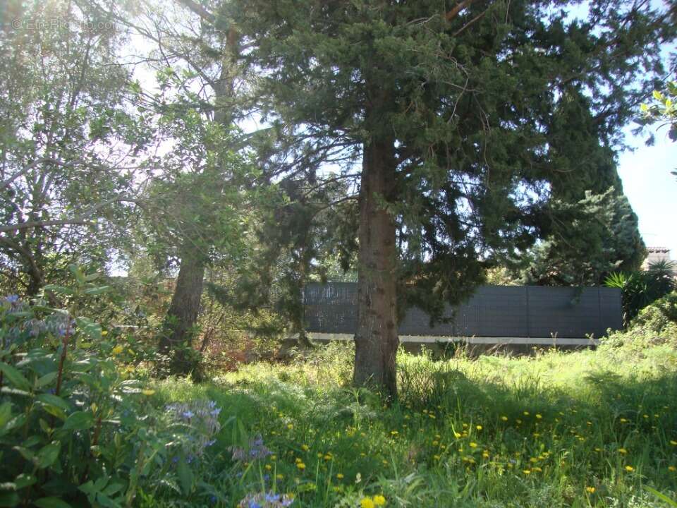 Terrain à LA CRAU