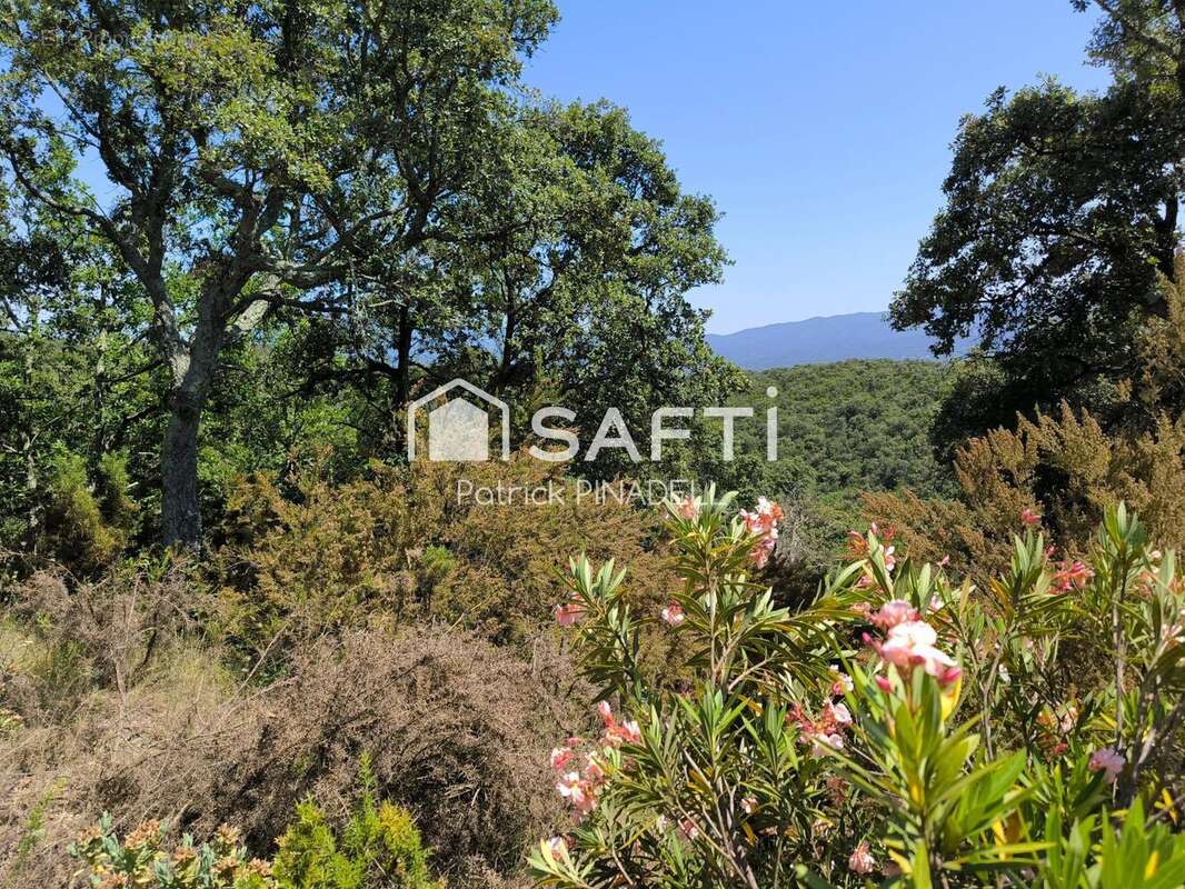 Photo 2 - Terrain à LLAURO