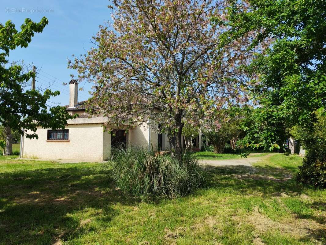 Saint-lys - maison t6 - photo 8