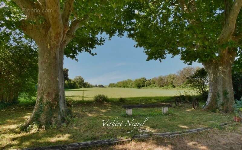 Propriété à vendre 8 pièces et annexe  MOURIES (13) - photo 3