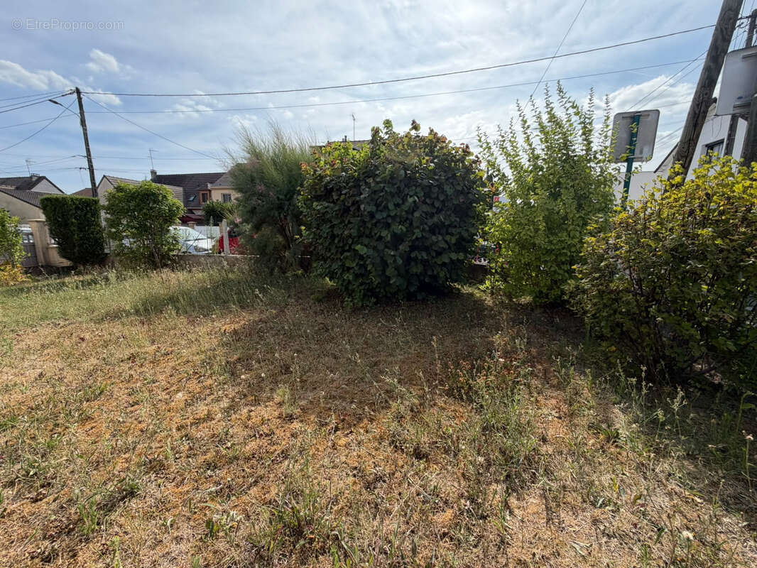 Mitry-le-neuf - pavillon de plain pied - 2 chambres - 1 cave et un joli jardin - photo 12
