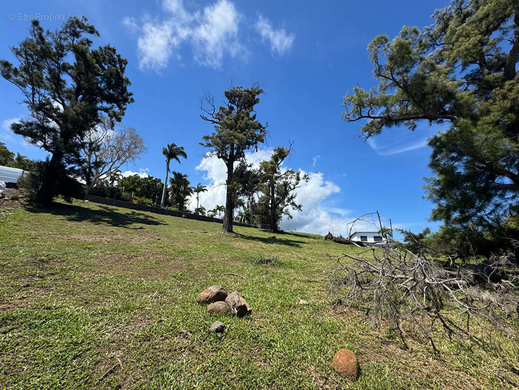 Terrain à SAINT-DENIS