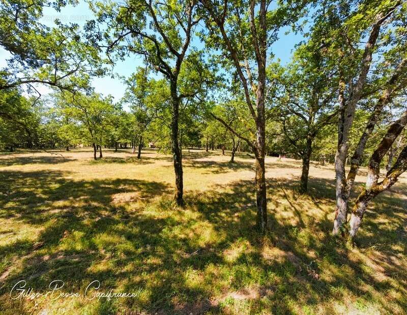 Maison à MAUZAC-ET-GRAND-CASTANG