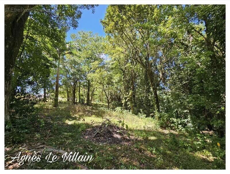 Terrain à BOUILLANTE