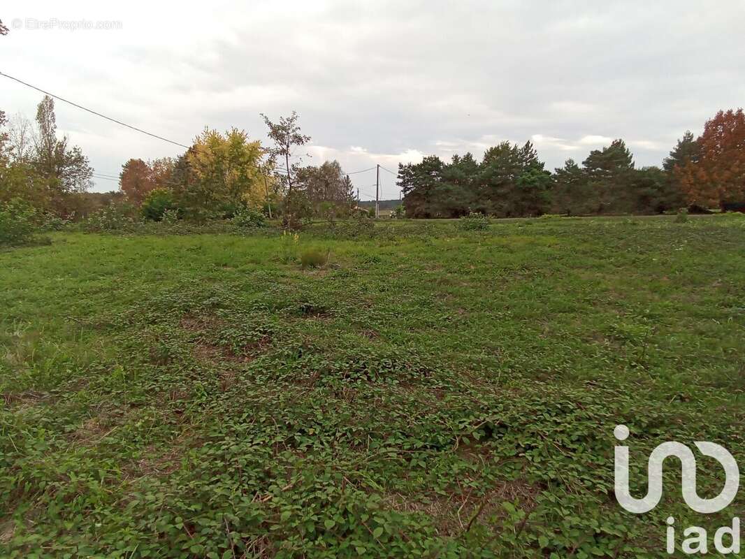 Photo 4 - Terrain à SAINT-REMY