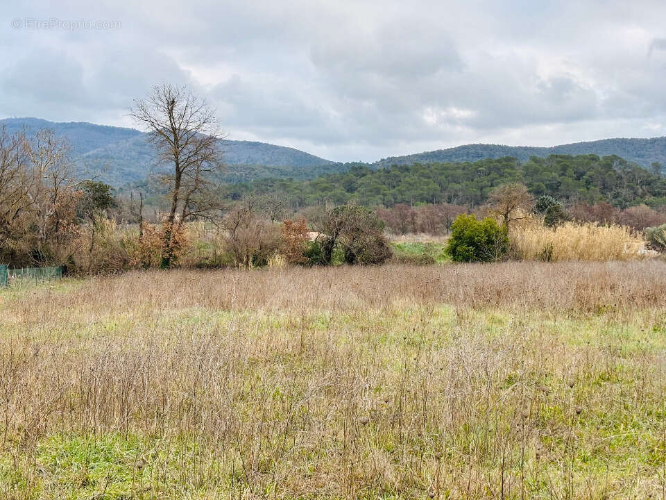 Terrain à PIGNANS