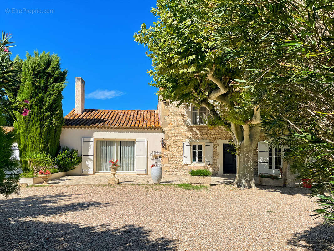 Maison 250m² à tarascon - photo 3